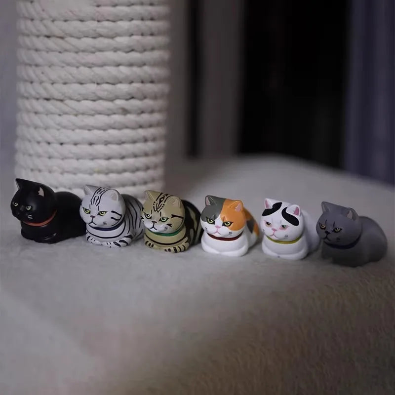 Cat Hiding in Paper Bag Blind Box Set