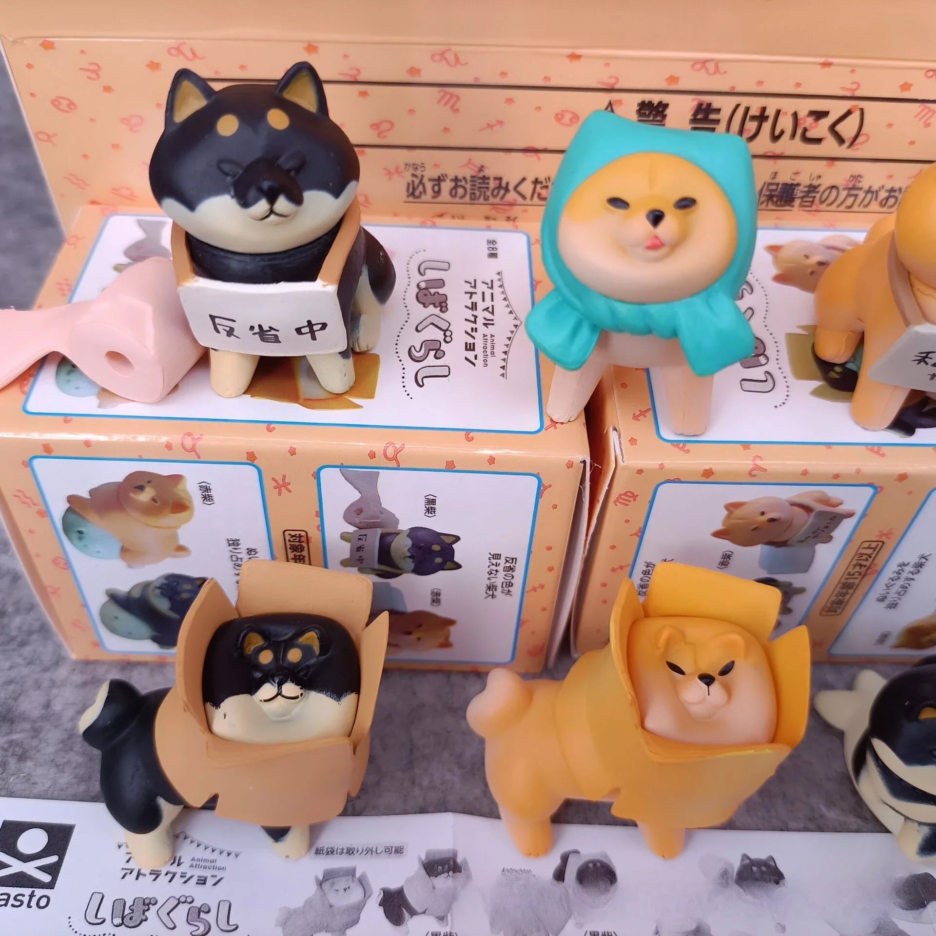 Reflecting Shiba Inu Unwilling Dog Blind Box