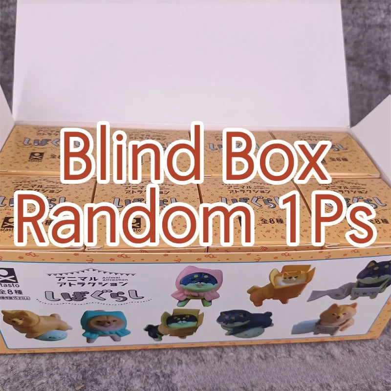 Reflecting Shiba Inu Unwilling Dog Blind Box