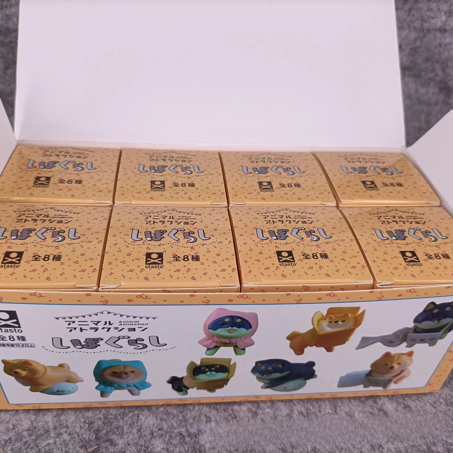 Reflecting Shiba Inu Unwilling Dog Blind Box